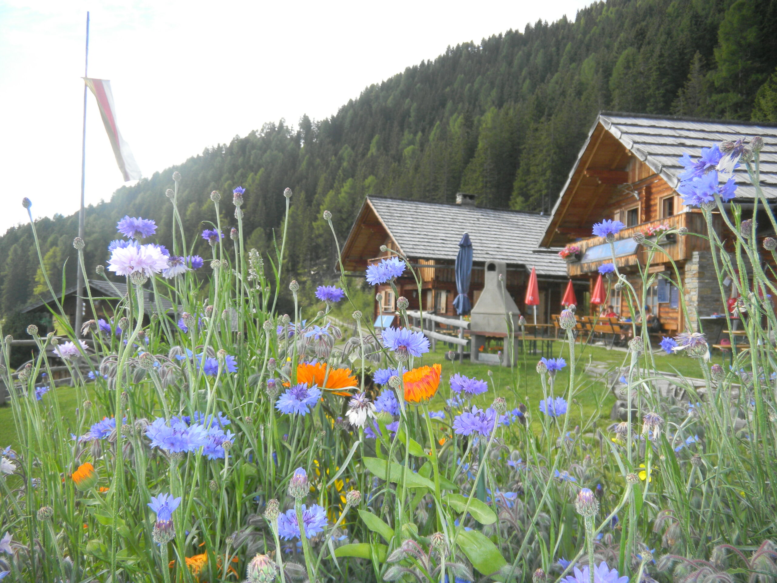 Berg- und Almhütten